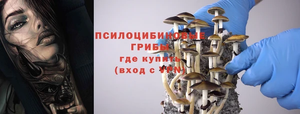 а пвп мука Алзамай