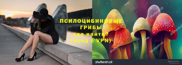а пвп мука Алзамай
