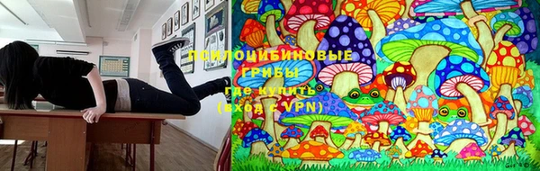 а пвп мука Алзамай