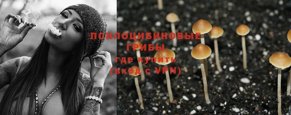 а пвп мука Алзамай