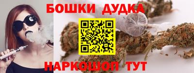 МДПВ Будённовск