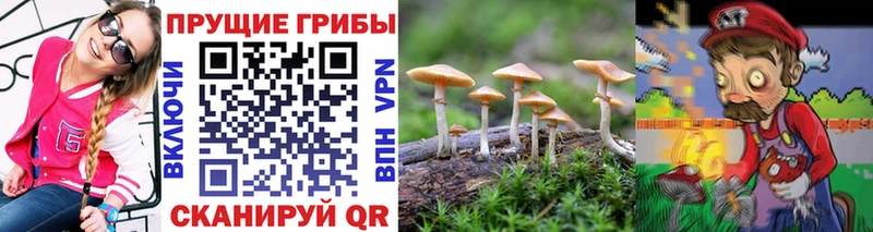 shop Telegram  hydra ССЫЛКА  Дедовск  как найти закладки  Галлюциногенные грибы мицелий 