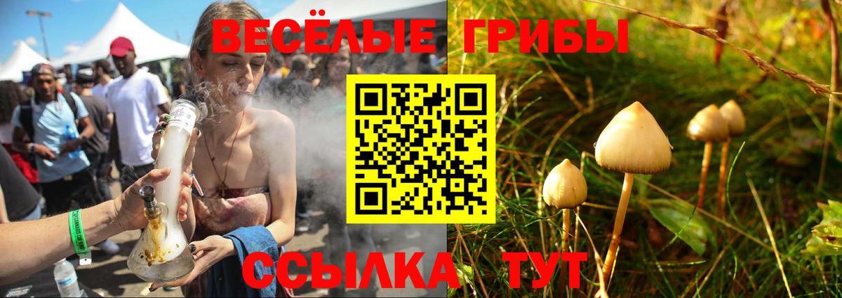 Дедовск  НБОМе  Alpha PVP СК кристаллы  ГАШИШ  Канабис  Вход с VPN  Кокаин  Меф МЯУ МЯУ  