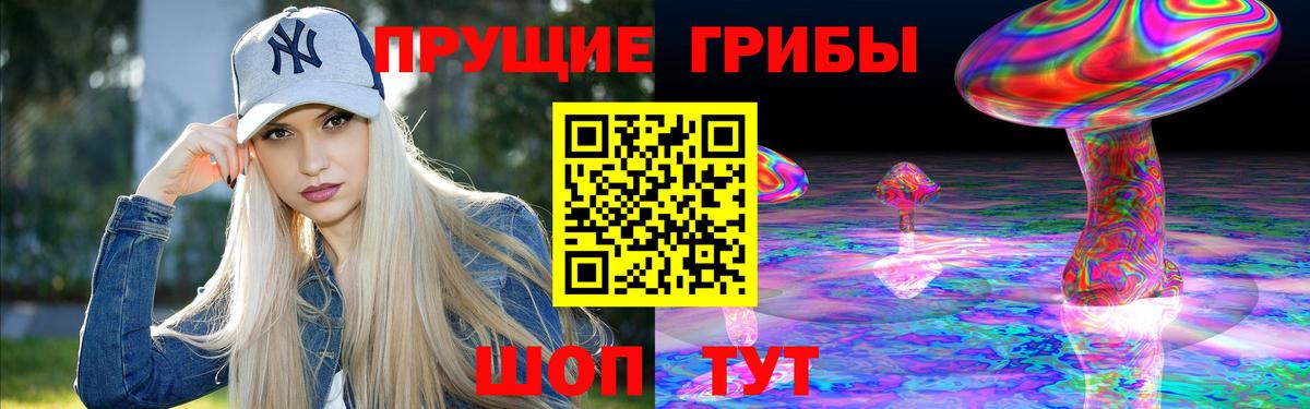 Псилоцибиновые грибы Psilocybine cubensis Дедовск