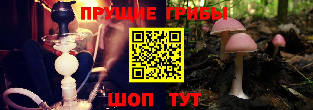 Псилоцибиновые грибы ЛСД Дедовск